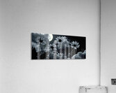 Harmony in Bloom – Soft Focus Botanical Print Acrylic Print