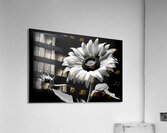Iconic Sunflower – Golden Bloom Fine Art Print Acrylic Print