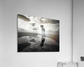 Lost in My Eyes – Monochrome Coastal Dog Photography Print Acrylic Print