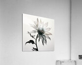 SFWarp – Abstract Floral Art Print Acrylic Print
