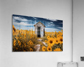 Shed - Sunflower Field Cottage Art Prints Acrylic Print