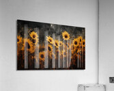 Sunkissed - Golden Sunflower Art Prints Acrylic Print