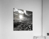 Aequo Animo – Even-Minded Seascape Art Print Acrylic Print