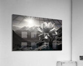 Alone – Dramatic Seascape Art Print Impression acrylique