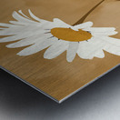 Wild Wild Daisies - Rustic Daisy Floral Art Prints Metal print