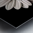 Petal Perspective 31 - Macro Floral Art Prints Metal print