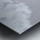 Helianthus Debilis - Botanical Sunflower Study Art Prints Metal print