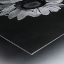 Sunflower Selfie 2 - Sunflower Portrait Art Prints Metal print