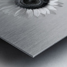 Sunflower Selfie 5 - Sunflower Portrait Art Prints Metal print