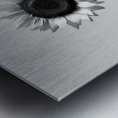 Sunflower Selfie 3 - Sunflower Portrait Art Prints Metal print