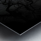 Midnight - Nocturne Landscape Art Prints Metal print