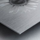 Sunflower Selfie 7 - Sunflower Portrait Art Prints Impression metal