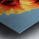 Golden Giants - Sunflower Portrait Art Prints Metal print
