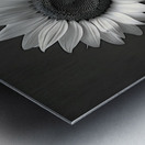 Sunflower Selfie 4 - Sunflower Portrait Art Prints Metal print