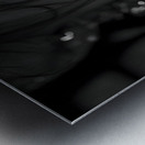 La Novia Del Silencio - The Bride Of Silence - Pop Surreal Portrait Art Prints Metal print