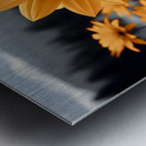 Fleurs Du Crepuscule - Flowers Of Dusk - Evening Floral Art Prints Metal print