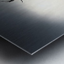 Where Silence Flows - Monochrome Landscape Art Prints Metal print