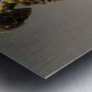 Decay In Bloom - Sculptural Botanical Art Prints Metal print