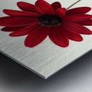 Plaid Botanica 30 - Contemporary Floral Art Prints Metal print