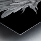 Sunflower Selfie 8 - Sunflower Portrait Art Prints Metal print