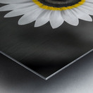 Sunflower Selfie 12 - Sunflower Portrait Art Prints Metal print