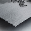 Led Beside Still Waters - Monochrome Landscape Art Prints Metal print