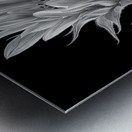 Sunflower Selfie 14 - Sunflower Portrait Art Prints Metal print