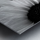 Sunflower Selfie 16 - Sunflower Portrait Art Prints Metal print