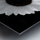 Sunflower Selfie 24 - Sunflower Portrait Art Prints Metal print