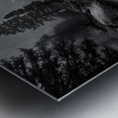 Still Water And Stones - Monochrome Landscape Art Prints Metal print