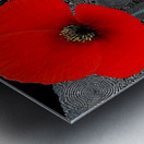 Yoru No Hana 夜の花 - Night Bloom - Japanese Floral Art Prints Metal print