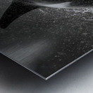 Ambush - Orca Wildlife Art Prints Impression metal