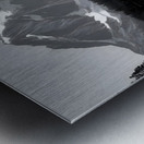 Where Giants Sleep - Mountain Landscape Art Prints Metal print