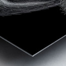 Sloth – Wildlife Portrait Art Print Metal print