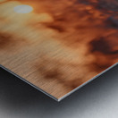 The Gaze – Wildlife Portrait Art Print Impression metal