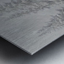 Quiet Companion – Wildlife Portrait Art Print Metal print