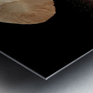 Golden Stillness – Elephant Reflection Print Metal print