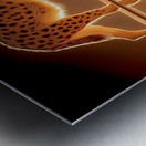 Ember Stalker – Hyena Reflection Print Metal print