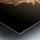 Luminous Giant – Rhinoceros Reflection Print Metal print