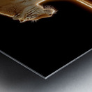 Golden Monarch – Tiger Reflection Print Impression metal