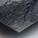 Veins of Time – Black and Gold Tree Abstract Print Impression metal