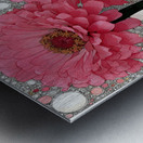 Bloom in Circles – Pink Zinnia Floral Abstract Print Impression metal