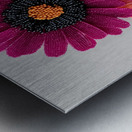 Beaded Blossoms – Textured Pink Daisy Abstract Print Metal print