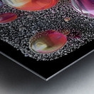 Space Jelly – Cosmic Surrealism Art Print Metal print