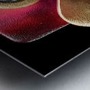 Gold & Blue Loops – Modern Abstract Wall Art Print Impression metal