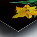 Neon Stems – Trio of Lilies on Black Print Metal print