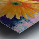 Patio Pots – Cheerful Gerbera Duo Print Metal print