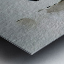 Little Wanderer – Baby Penguin Watercolor Print Metal print