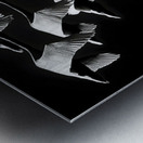 Flight Code – Geese Formation Print Metal print