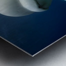 Arctic Companions – Beluga Whales Print Metal print